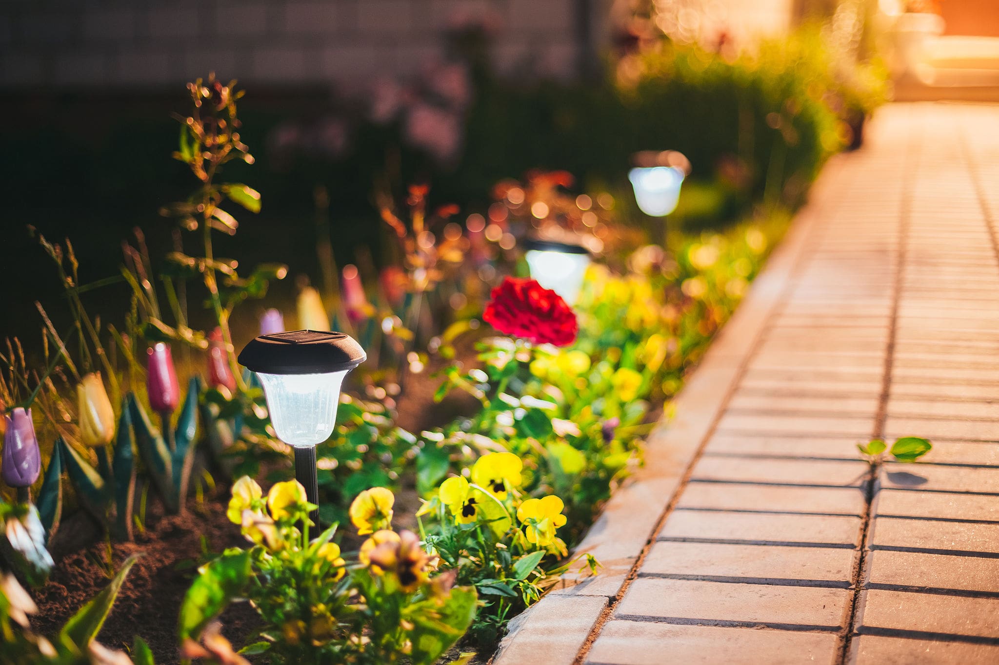 All You Need To Know About Solar Lights And Their Benefits