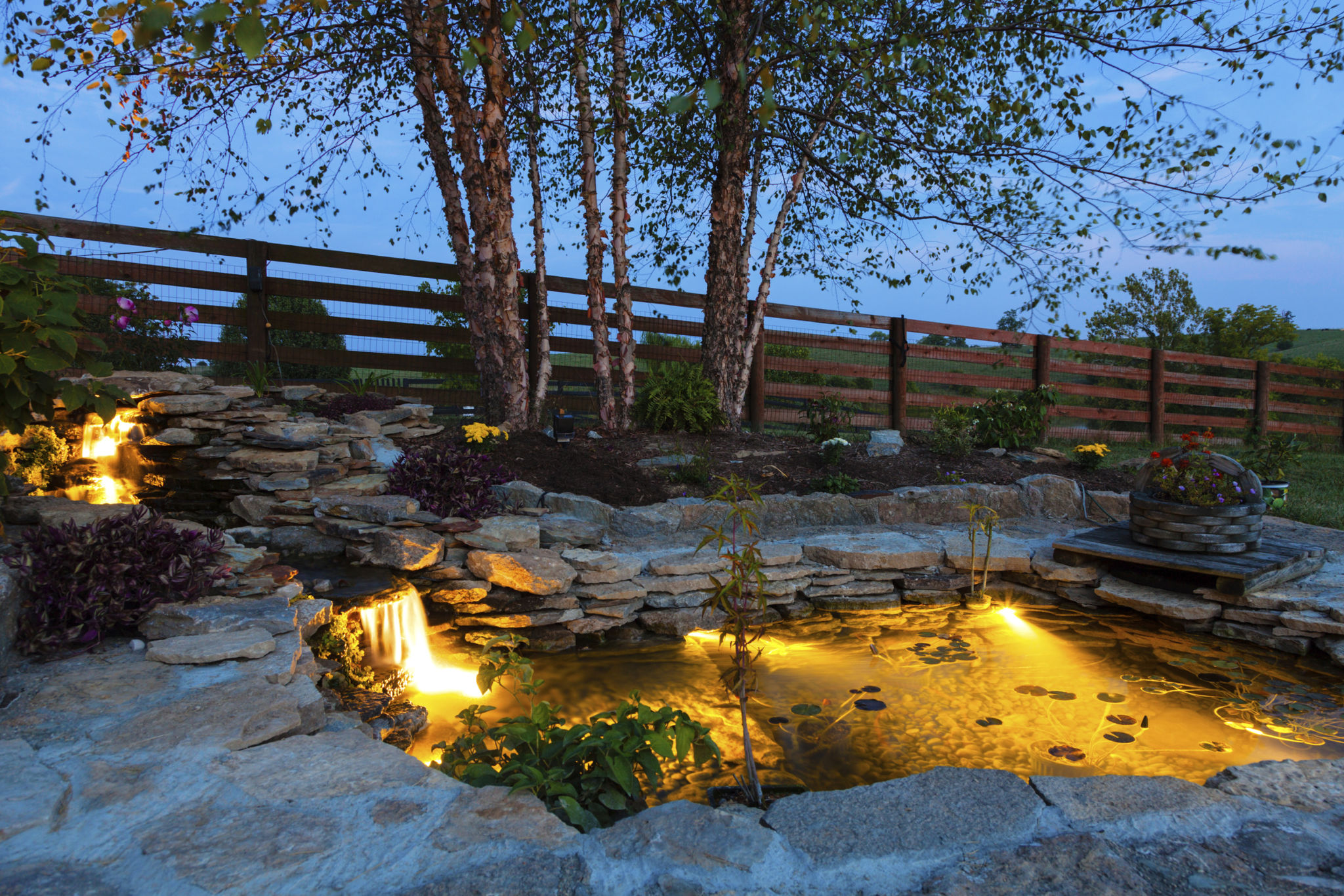How To Make Your Garden More Visually Appealing