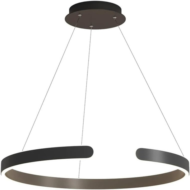 Black Ring Chandelier