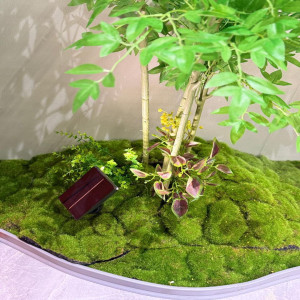 Solar Garrison Light