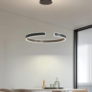 Black Ring Chandelier