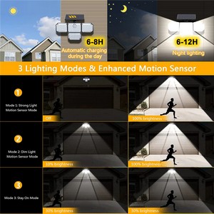 Solar Wing Lamp II
