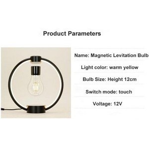 Retro Floating Bulb
