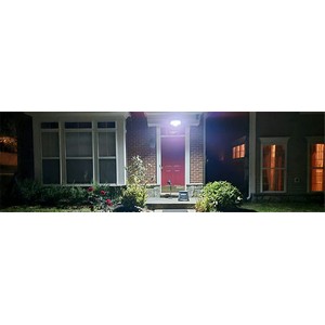 Solar Wing Lamp II