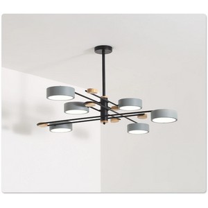 Artistic Chandelier