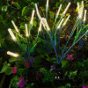 Solar Sway Reed