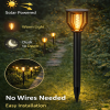 Solar Glow Garden Light