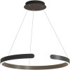 Black Ring Chandelier