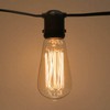 Ultronics Edison Bulb