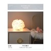 Feather Lamp