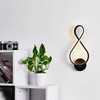 Entangled Wall Sconce