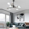 Artistic Chandelier