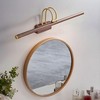 Wood Grain Vanity Light