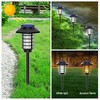 2 in 1 Solar Flame Lamp
