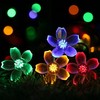 Solar Blossom String