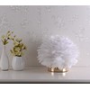 Feather Lamp