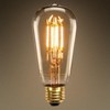 Ultronics Edison Bulb