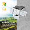 Solar Wing Lamp II