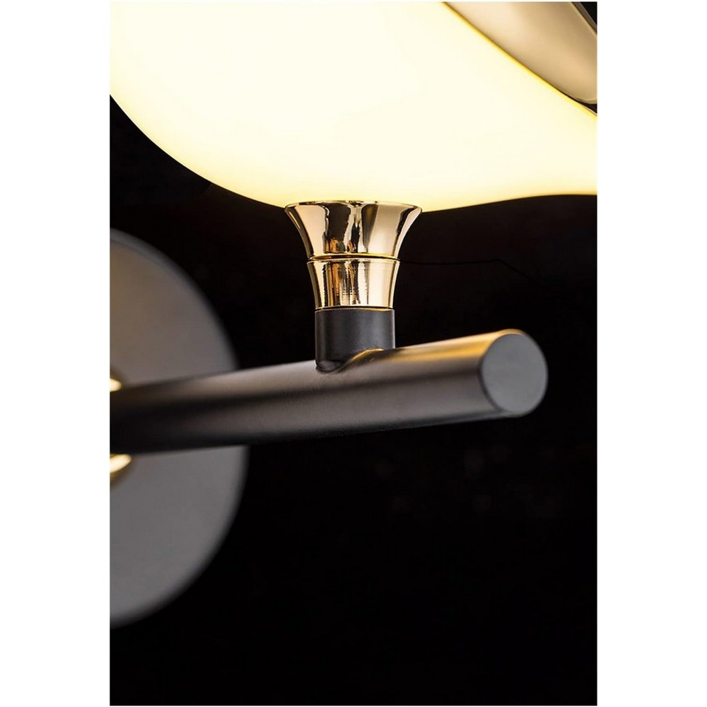 Magpie Lamp
